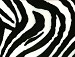 Fantasia Cachorra - Zebra
